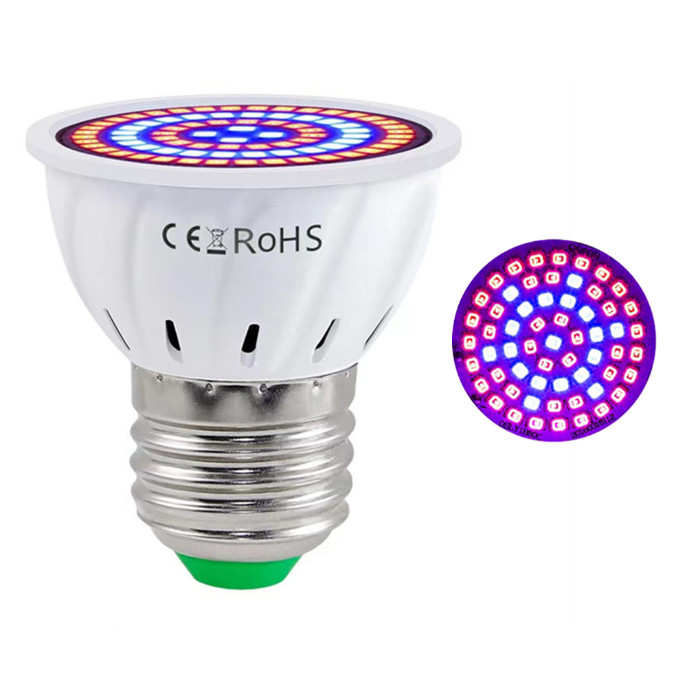 Indoor -led -pflanze Licht E27 Lampen Basis Pflanze Wachstum Licht Für Blumen, Früchte, Sukkulenten - 60 Perlen
Indoor -led -pflanze Licht E27 Lampen Basis Pflanze Wachstum Licht Für Blumen, Früchte, Sukkulenten - 60 Perlen