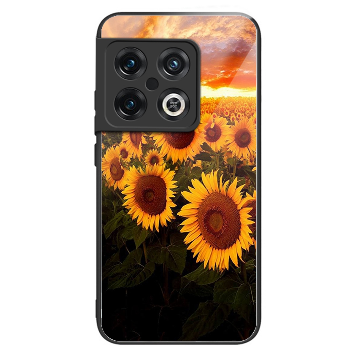 Für OnePlus 10 Pro 5G TPU -rahmen Temperierte Glas Rückenhybrid -hülle Sonnenblumenmuster Druckmobile Abdeckung - Stil F, OnePlus 10 Pro 5G
Für OnePlus 10 Pro 5G TPU -rahmen Temperierte Glas Rückenhybrid -hülle Sonnenblumenmuster Druckmobile Abdeckung - Stil F, OnePlus 10 Pro 5G