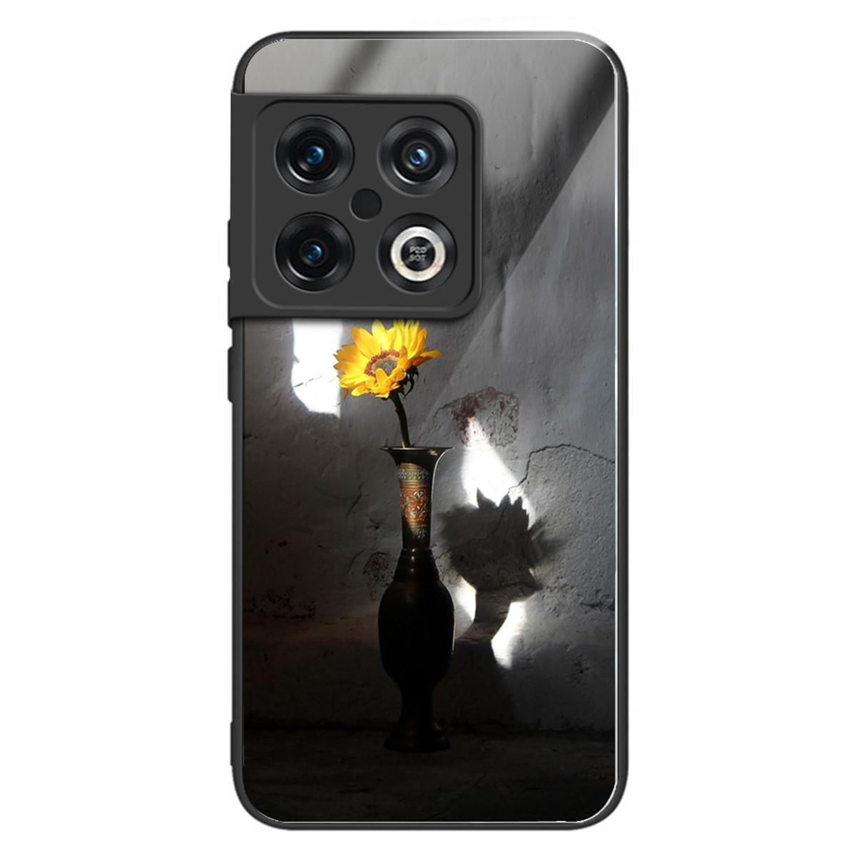 Für OnePlus 10 Pro 5G TPU -rahmen Temperierte Glas Rückenhybrid -hülle Sonnenblumenmuster Druckmobile Abdeckung - Stil H, OnePlus 10 Pro 5G
Für OnePlus 10 Pro 5G TPU -rahmen Temperierte Glas Rückenhybrid -hülle Sonnenblumenmuster Druckmobile Abdeckung - Stil H, OnePlus 10 Pro 5G