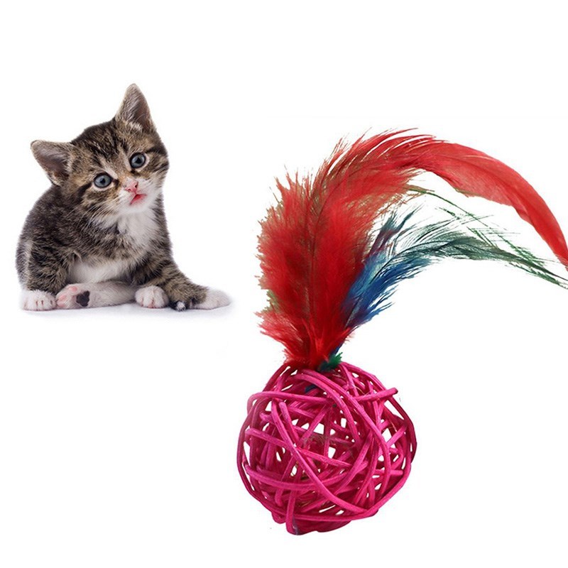 Federkatze Spielzeug Rattan Ball Molar Ruten Bissbeständige Zufällige Farbe - Zufällig
Federkatze Spielzeug Rattan Ball Molar Ruten Bissbeständige Zufällige Farbe - Zufällig