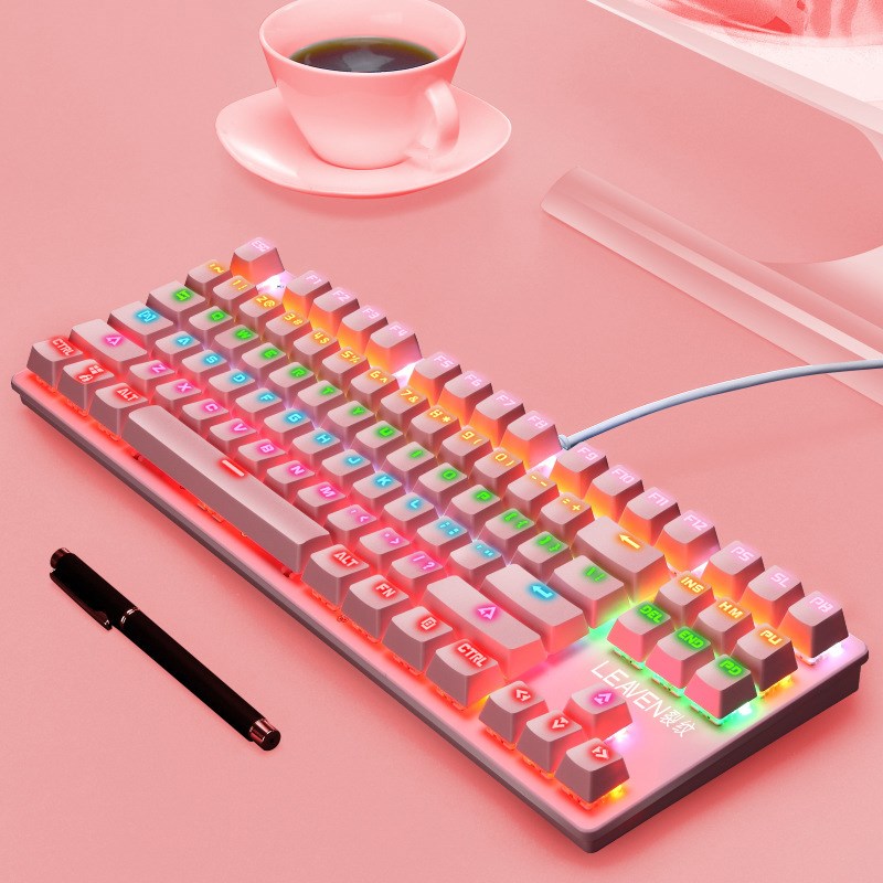 Leaven K550 USB LED Kabel Verdrahtetes Mechanisches Gaming -tastatur Mit 87 Tasten - Rosa
Leaven K550 USB LED Kabel Verdrahtetes Mechanisches Gaming -tastatur Mit 87 Tasten - Rosa