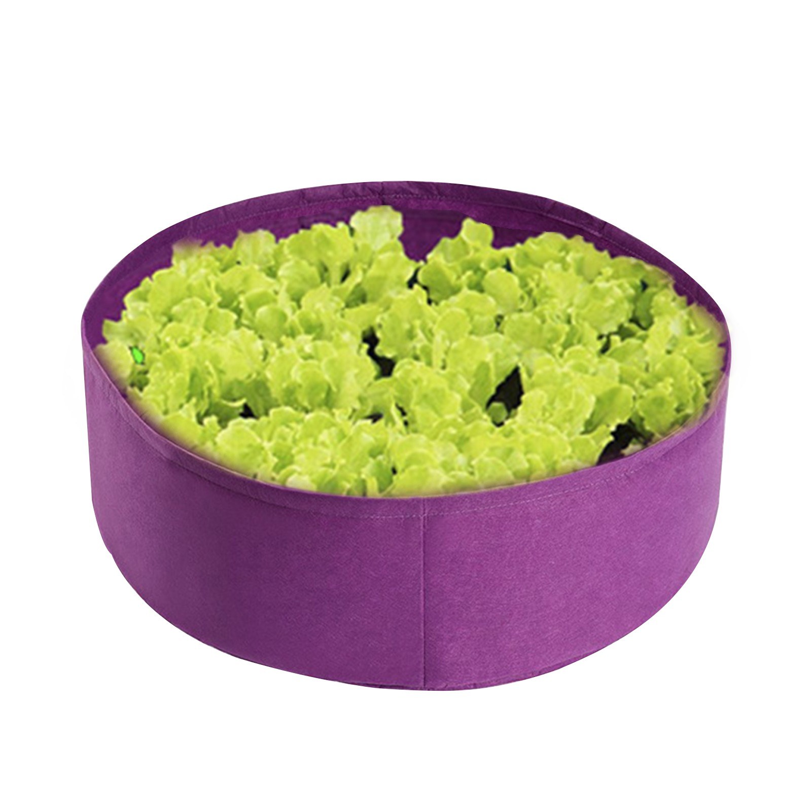 Garden Round Planter Box Planting Beds Grow Pot Felt Bag for Potato Fruit Herbs Flowers Vegetables - Purple, L
Garden Round Planter Box Planting Beds Grow Pot Felt Bag for Potato Fruit Herbs Flowers Vegetables - Purple, L