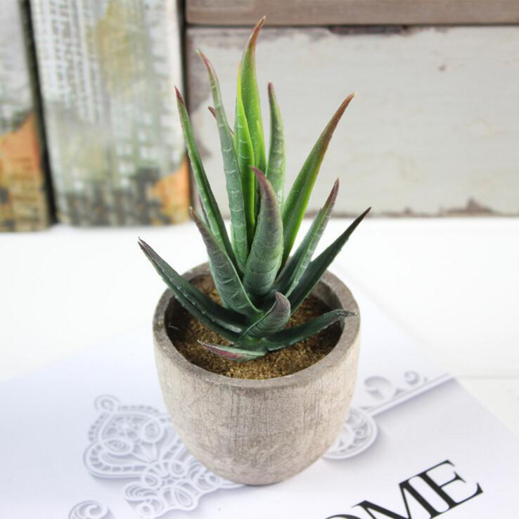 

5 PCS Vivid Mini Artificial Succulent Plant Pot Plant Decoration