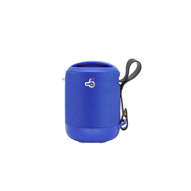 

BD05 Portable Bluetooth 5.0 Wireless HiFi Speaker Waterproof Subwoofer Music Player FM Radio - Blue, iPhone 12 mini