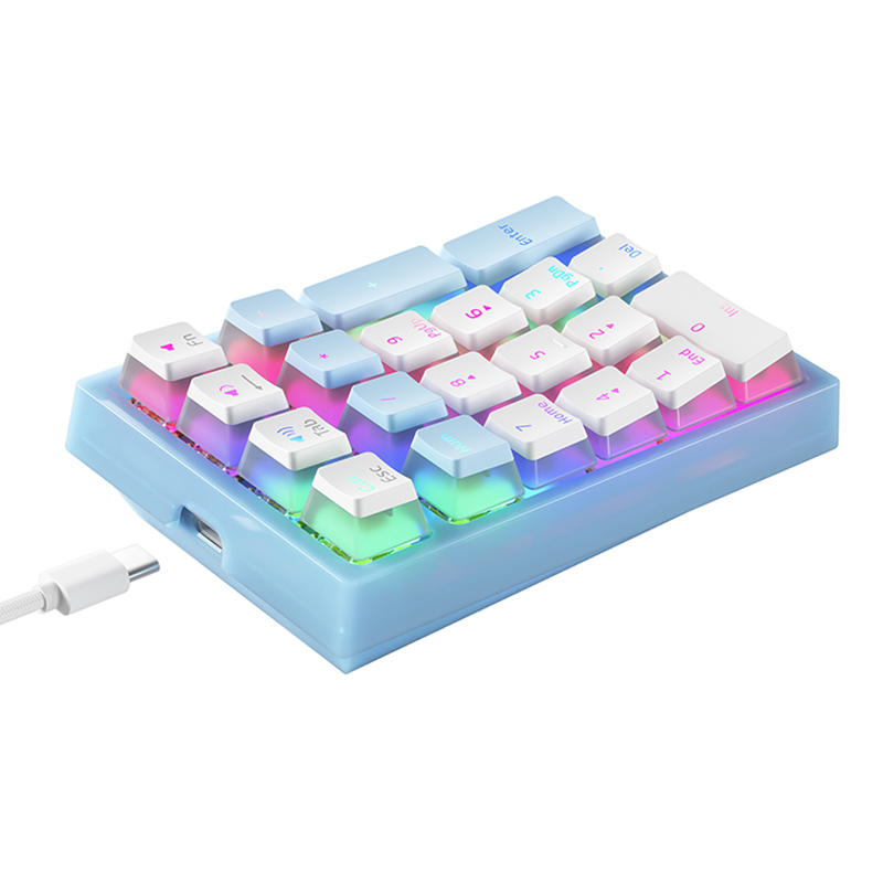 

IBLancod K10 Wired Numeric Kaste Backlit 21 Tasten PC Laptop Externe Mini -Numpad -Tastatur - Baby Blau