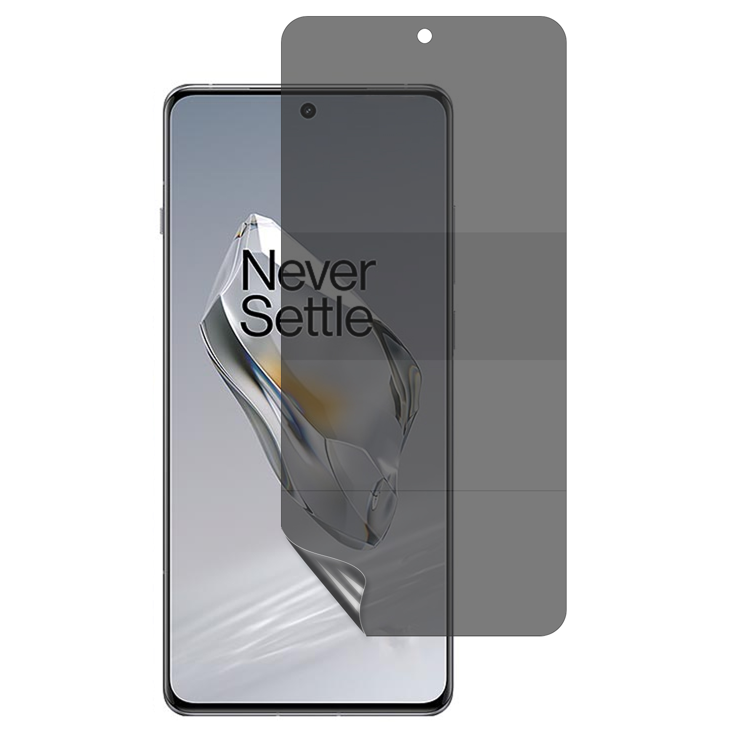 For OnePlus 13 Anti-Spy Screen Protector Anti-Peep TPU Phone Protective Film