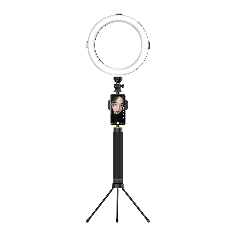

LEDISTAR B-10 Folding Beauty Lamp Fill Light