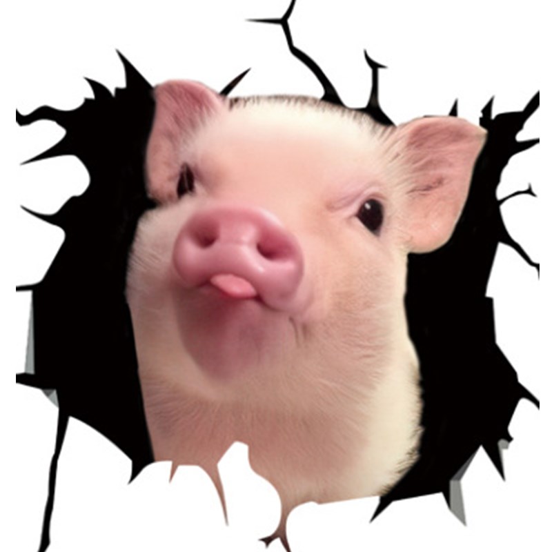 

Haustierschwein Risse Autoaufkleber Funny Decal Fenster Aufkleber Tapete - Stil E.
