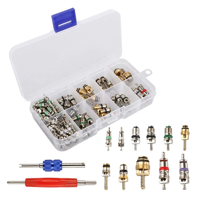 

102pcs/kit R134 R12 A/C HVAC Auto -klimaanlagen -reparaturwerkzeuge Schraderventil Stamm Core Remover Tool